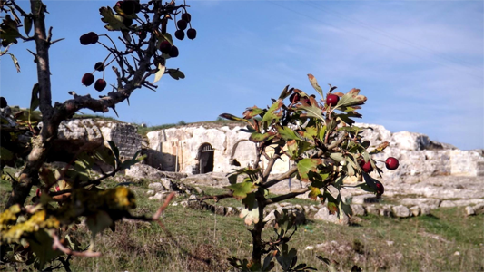 Gravina in Puglia Zona archeologica del Padre Eterno