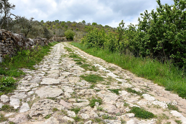 Gravina in Puglia Strada di campagna verso Botromagno